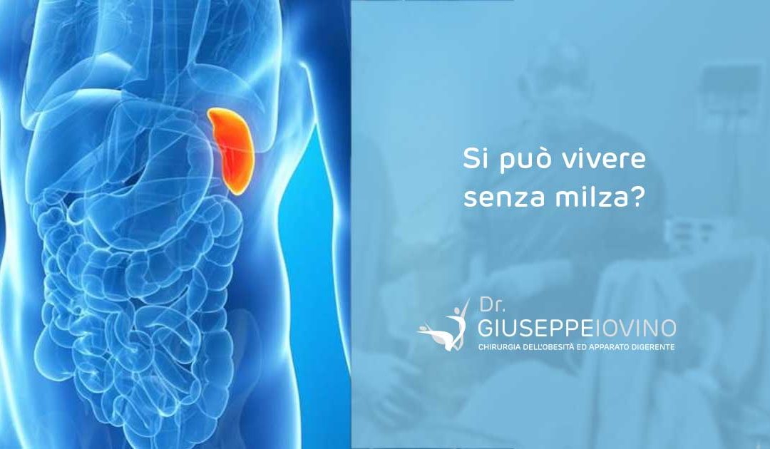 Si può vivere senza milza?