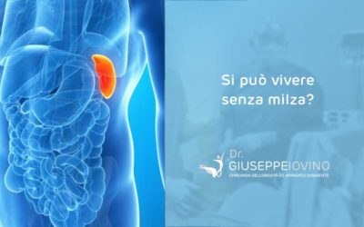 Si può vivere senza milza?